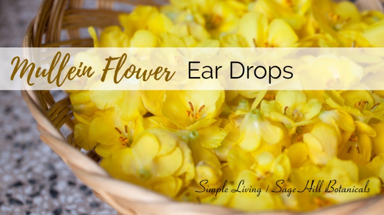 Mullein Flower Ear Drops